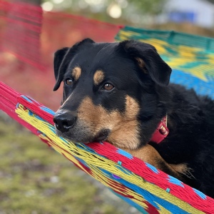 Fundraising Page: Leigh Anne Matzke